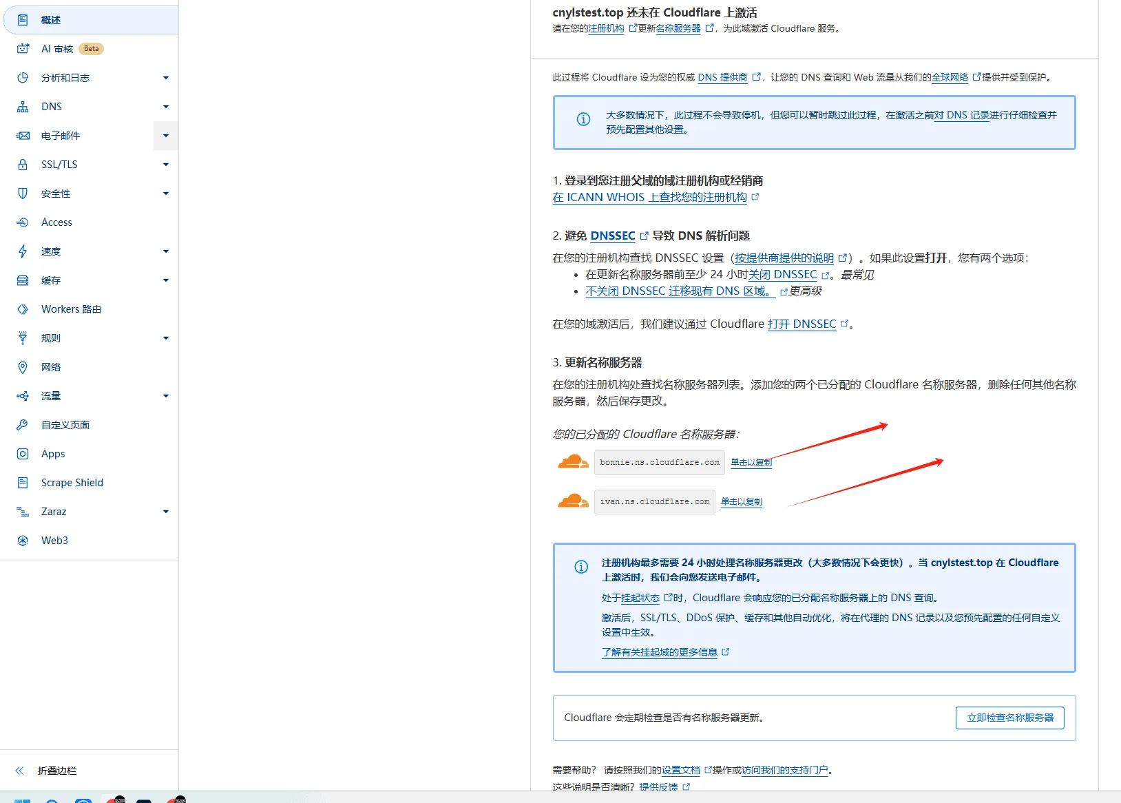 Cloudflare 概述页提供两个专属 NS 地址,复制备用