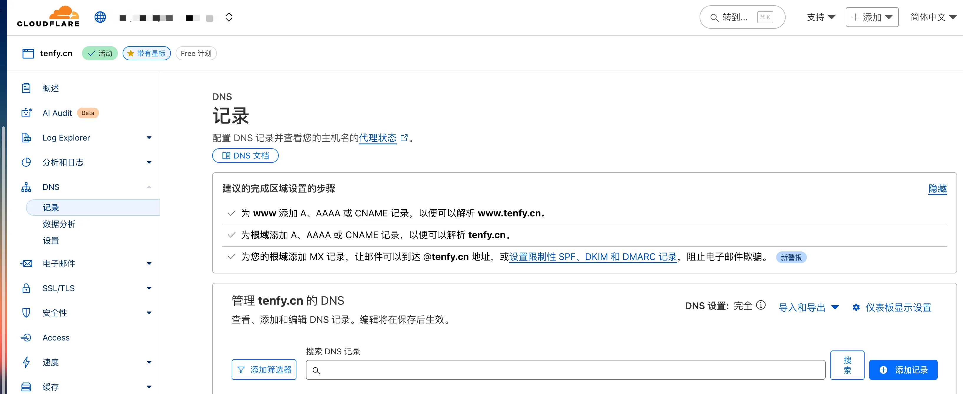 DNS → Records 解析记录管理面板