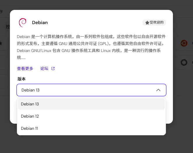点击 Debian 弹出版本选择,选择 Debian 12