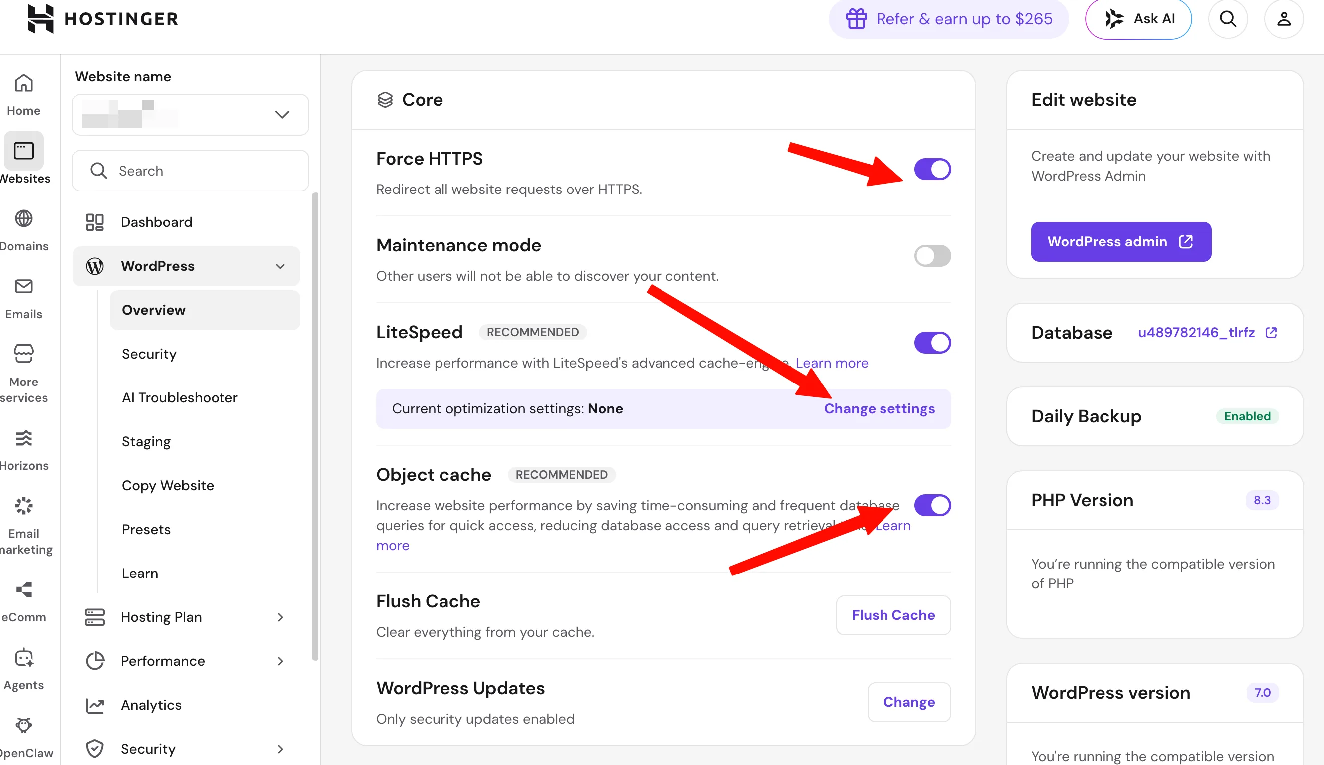 WordPress → Overview 的 Core 区块:Force HTTPS、LiteSpeed、Object Cache 开关