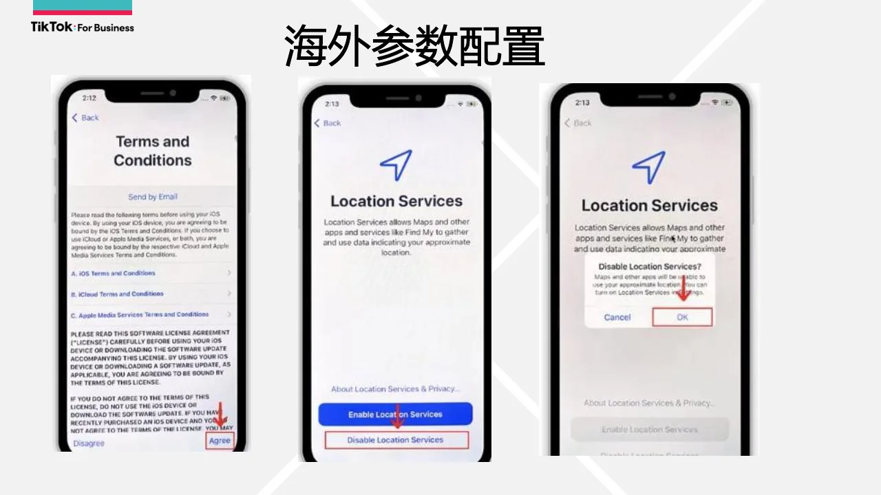 同意 Terms and Conditions 后,Location Services 选择 Disable Location Services 并确认